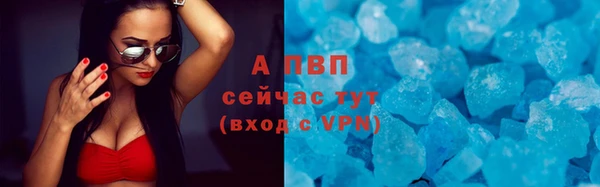 крисы Балахна
