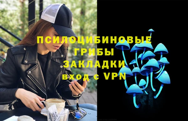 хмурый Бронницы