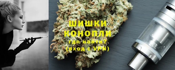 хмурый Бронницы