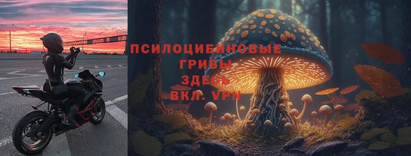 гашик Верхнеуральск
