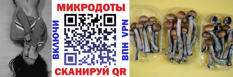 сколько стоит  Пересвет  Галлюциногенные грибы GOLDEN TEACHER 